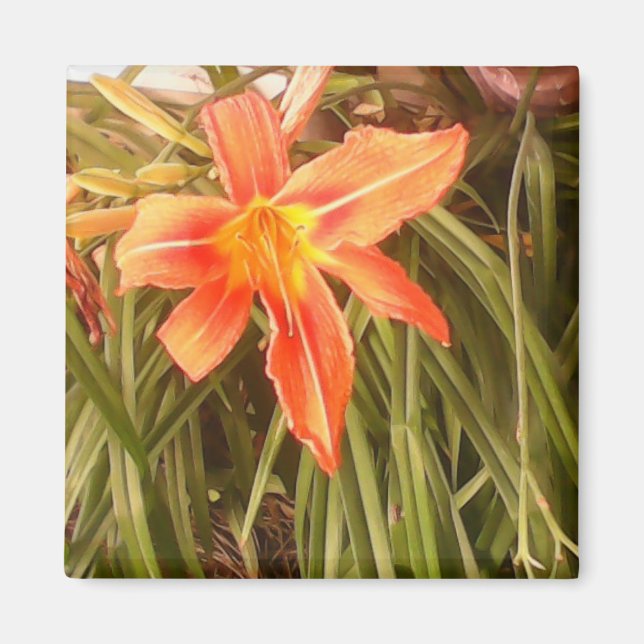 tiger lily magnet (Front)