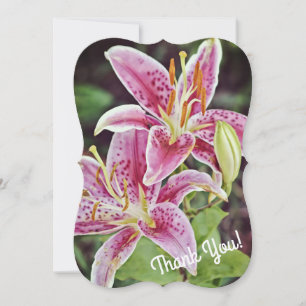 Tiger Lily Pink Flower Thank You Flat Note Card