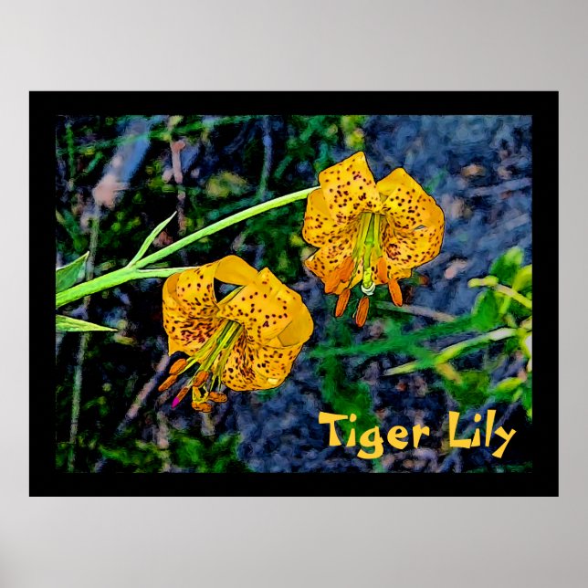 Tiger Lily Poster (Front)
