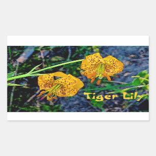 Tiger Lily Rectangular Sticker