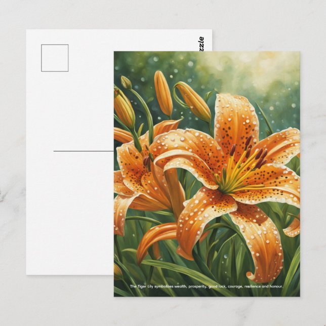 Tiger Lily Symbolism Postcard (Front/Back)
