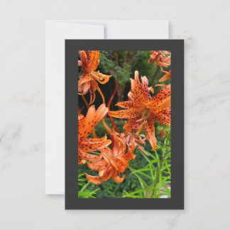 Tiger Lily Thank You Card