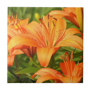 Tiger Lily Tile