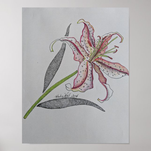 Tiger lily, Wild lily, Lily flower, Orange art Poster (Front)