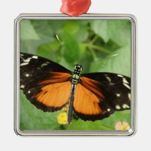 Tiger Longwing Butterfly Ornament