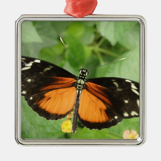 Tiger Longwing Butterfly Ornament (Front)