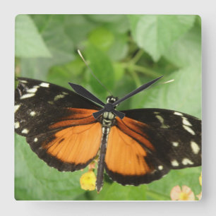 Tiger Longwing Butterfly Wall Clock