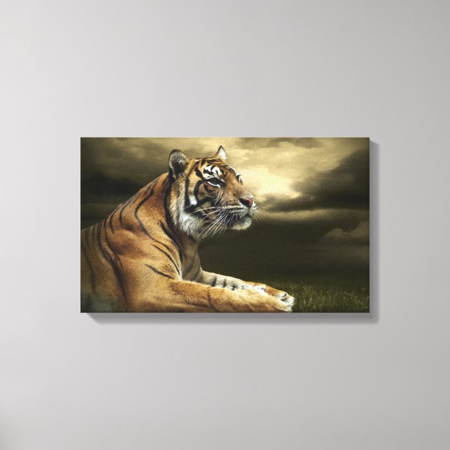 Tiger looking and sitting under dramatic sky canvas print (Front)