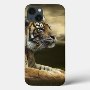Tiger looking and sitting under dramatic sky iPhone 13 case