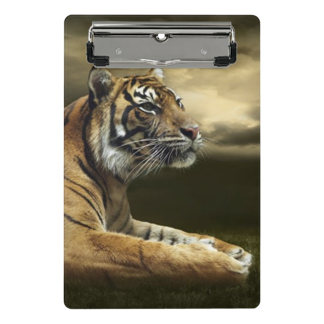 Tiger looking and sitting under dramatic sky mini clipboard (Front)
