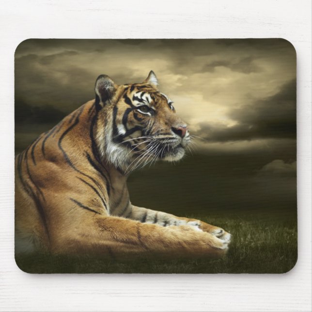 Tiger looking and sitting under dramatic sky mouse mat (Front)
