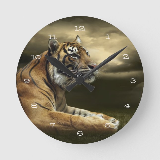 Tiger looking and sitting under dramatic sky round clock (Front)