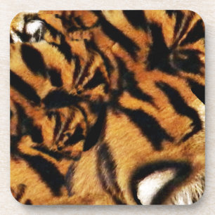 Tiger Love_ Coaster