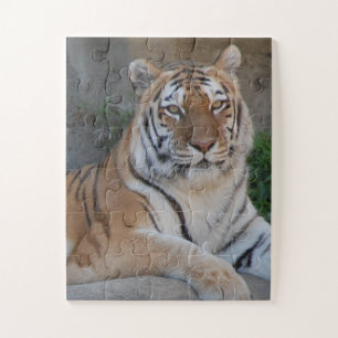 Tiger Love Jigsaw Puzzle