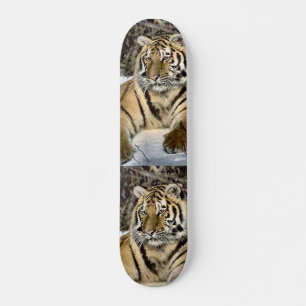 Tiger Lovers Art Gifts Skateboard