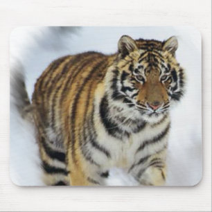 Tiger Lovers Art Mouse Mat