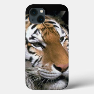 Tiger Lovers iPhone 13 Case