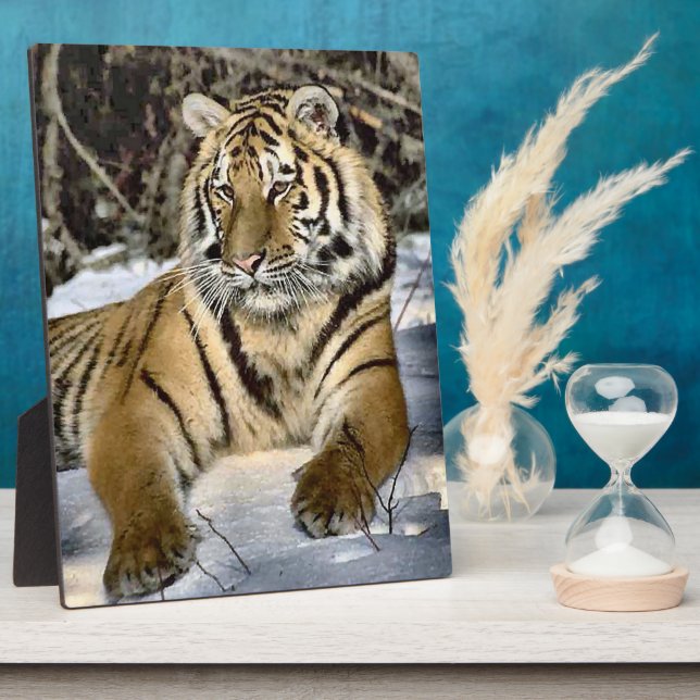 Tiger Lovers Wildlife Plaque (Side)