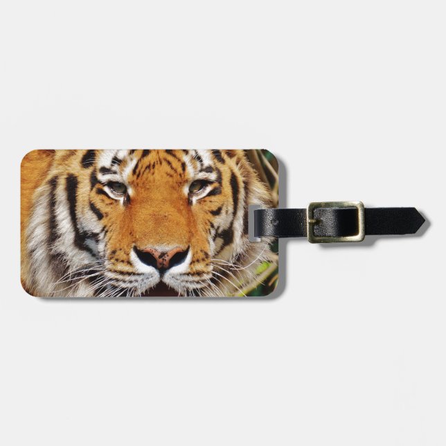 Tiger Luggage Tag (Front Horizontal)