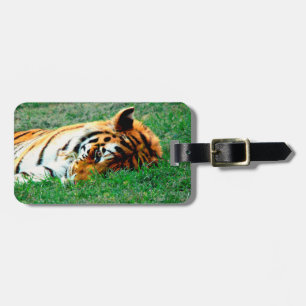 Tiger Lying down Luggage Tag