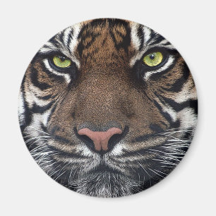 Tiger Magnet
