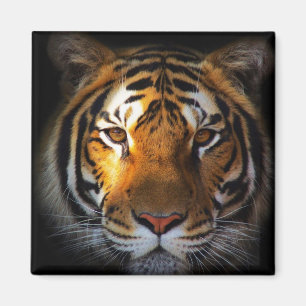 Tiger Magnet