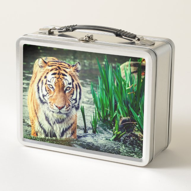 Tiger Metal Lunch Box (Front)