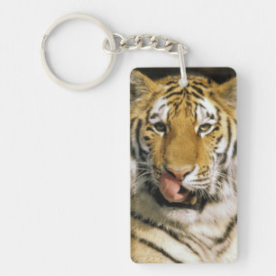 Tiger Michigan Zoo Key Ring
