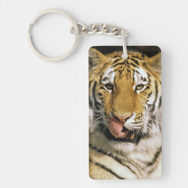 Tiger Michigan Zoo Key Ring (Front)