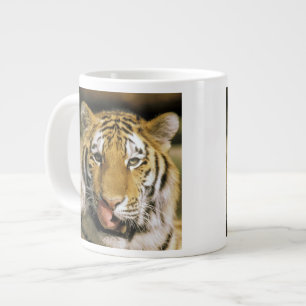 Tiger Michigan Zoo Large Coffee Mug