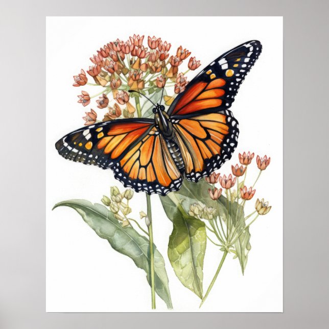 Tiger Milkweed Butterfly Art Print Poster (Front)