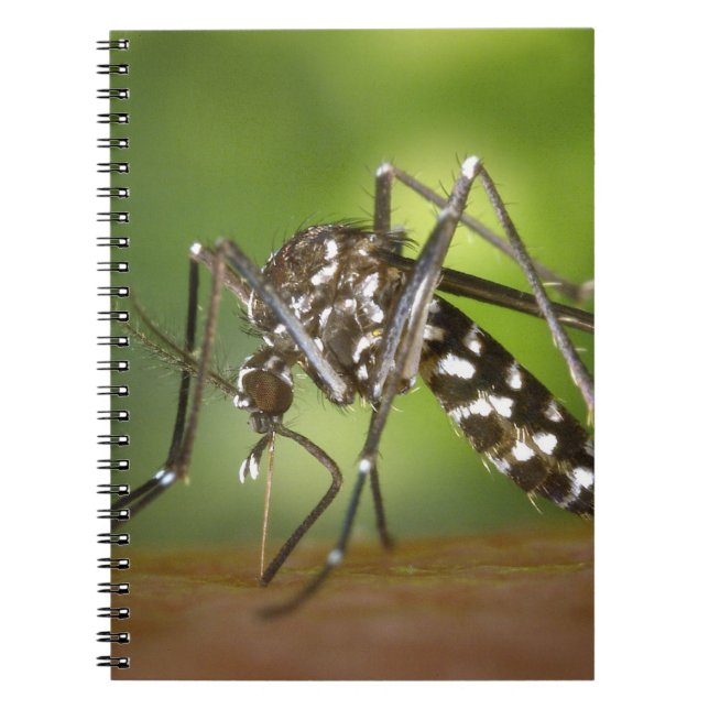 Tiger mosquito notebook (Front)