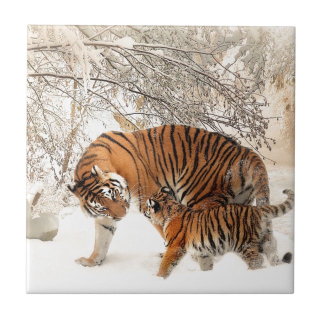 Tiger Mother and baby Tile (Front)