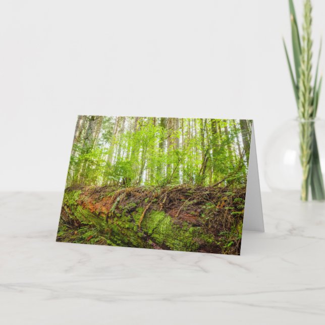 Tiger Mountain | Issaquah, Washington State Card (Front)