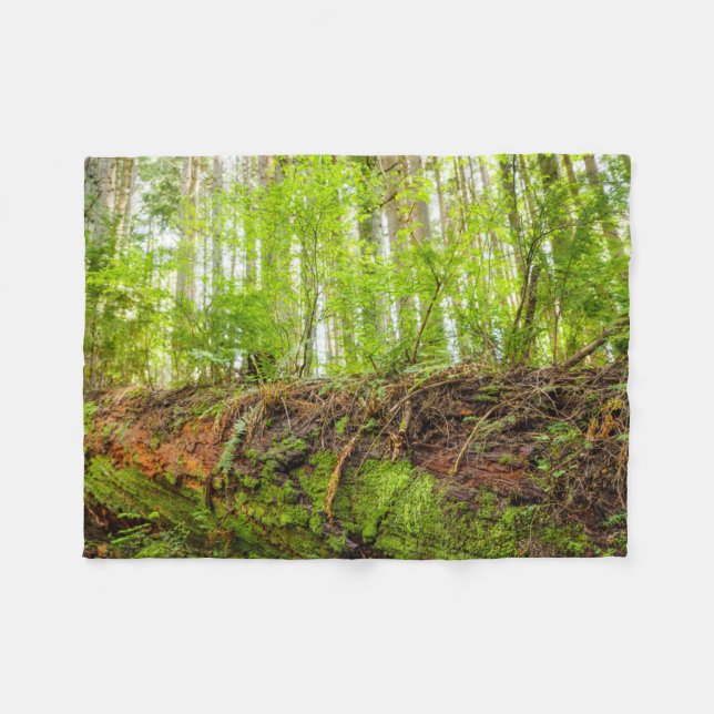 Tiger Mountain | Issaquah, Washington State Fleece Blanket (Front (Horizontal))