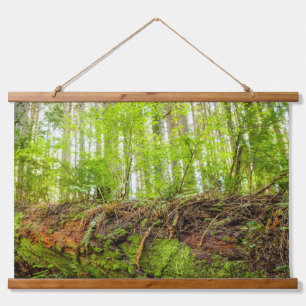 Tiger Mountain   Issaquah, Washington State Hanging Tapestry