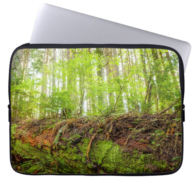 Tiger Mountain | Issaquah, Washington State Laptop Sleeve (Front)