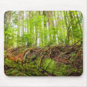 Tiger Mountain Issaquah, Washington State Mouse Mat