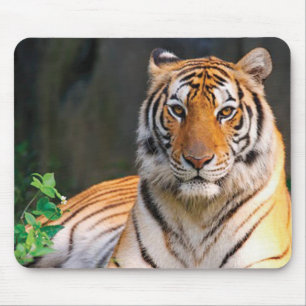 Tiger Mouse Mat
