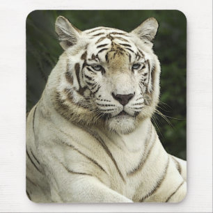 tiger mouse mat