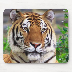 Tiger Mouse Mat