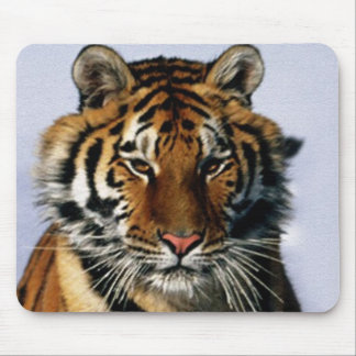tiger mouse mat