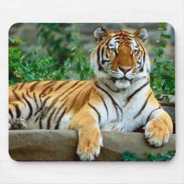 Tiger Mouse Mat (Front)