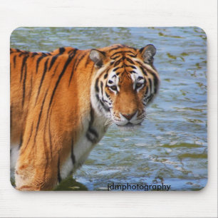 Tiger Mouse Mat