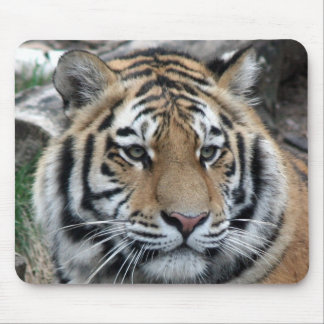 Tiger Mouse Mat
