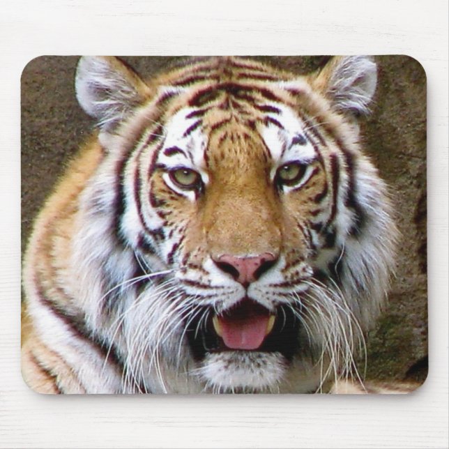 Tiger Mouse Mat (Front)