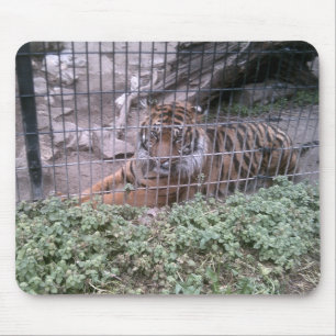 Tiger Mouse Mat