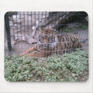 Tiger Mouse Mat
