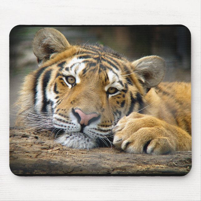 Tiger Mousepad (Front)