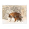 tiger mum and baby postcard